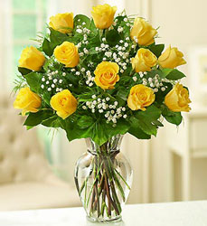 Long Stem Yellow Roses Flower Power, Florist Davenport FL